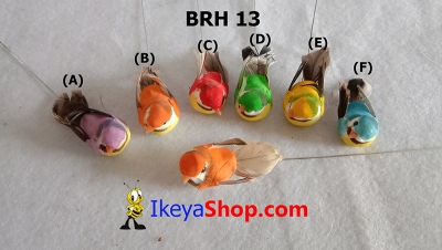 large2 BRH 13 c